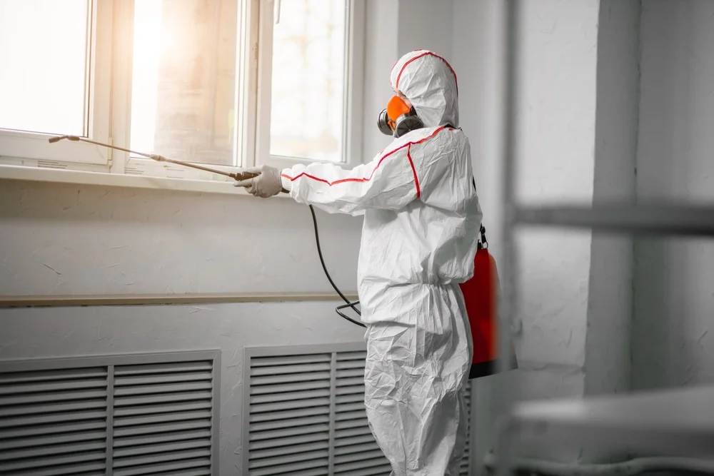 Professional mold remediation services in West Point, GA